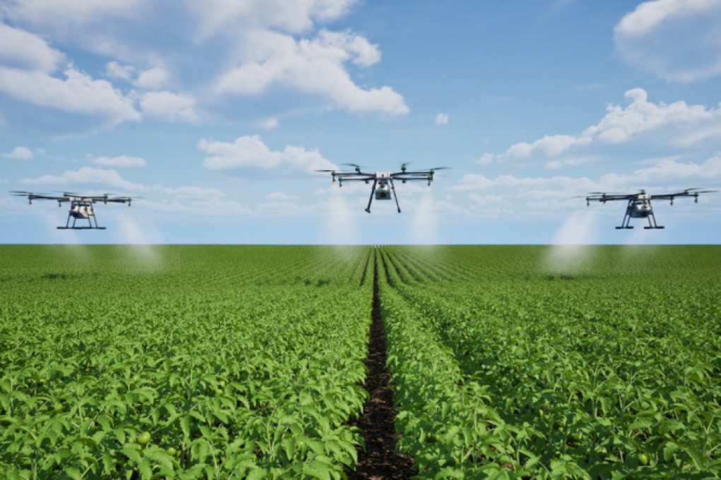 Agriculture drone fly to sprayed fertilizer on the tomato fields, Innovation of smart farming concept, 3d render